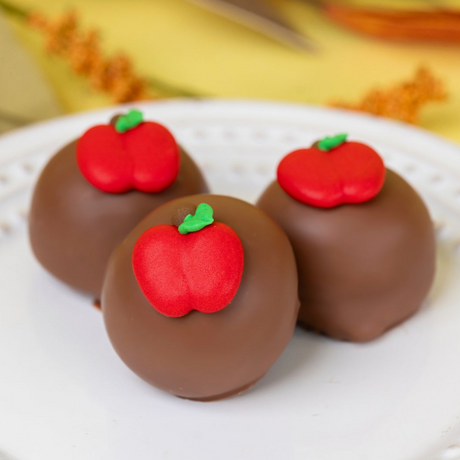 Apple of My Eye milk chocolate ganache truffles – rich, creamy handmade fall chocolate gift from Nibbles & Bits.