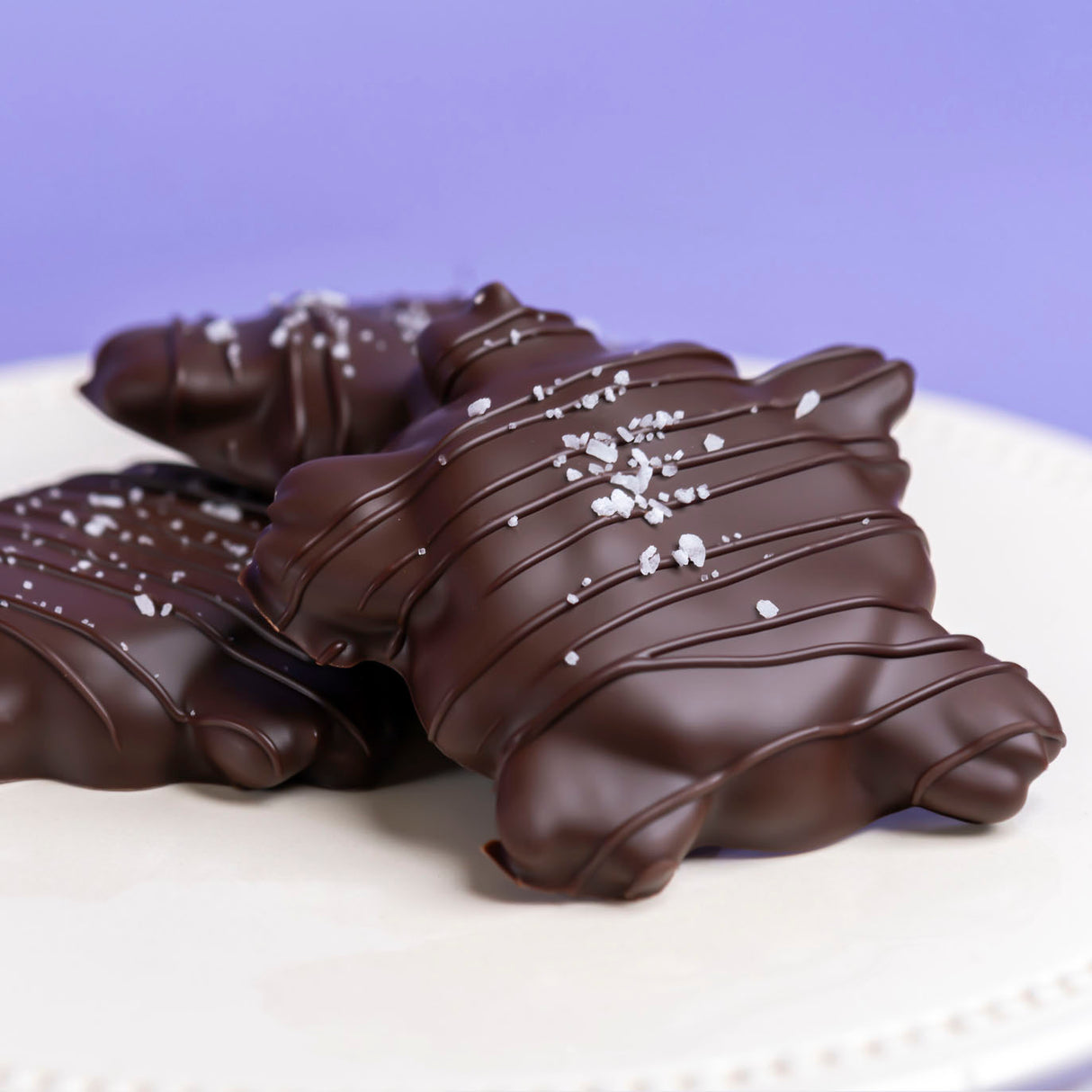 Dark Chocolate Pecan Caramel Turtles