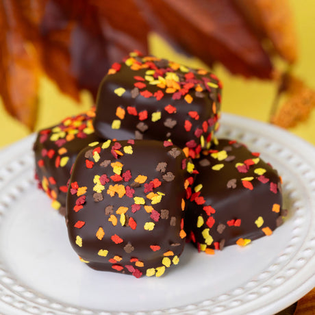 Soft vanilla marshmallows made from scratch, double dipped in dark chocolate and decorated with autumn confetti sprinkles – artisanal fall candy from Nibbles & Bits.
