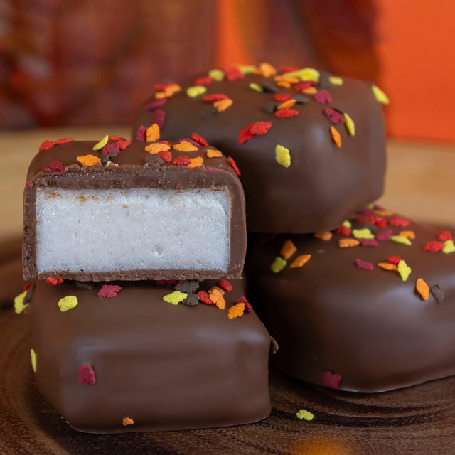 Handmade vanilla marshmallows double dipped in creamy milk chocolate and topped with colorful autumn confetti sprinkles – seasonal fall candy from Nibbles & Bits.