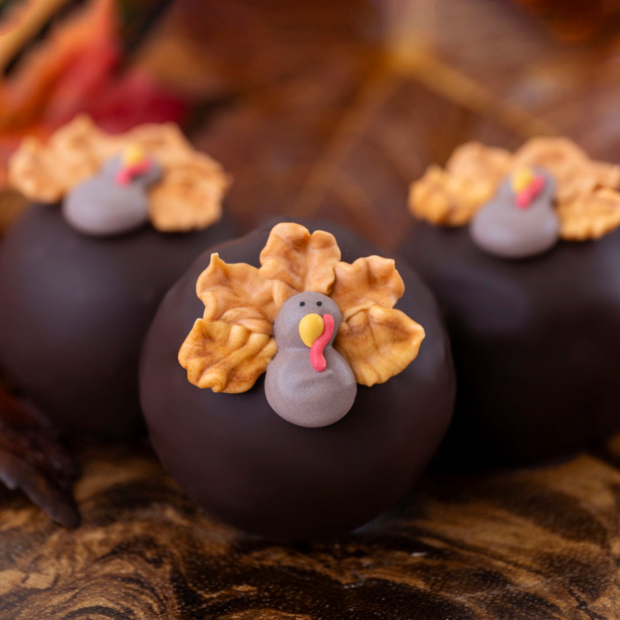 Dark Chocolate Ganache Thanksgiving Turkey Truffles