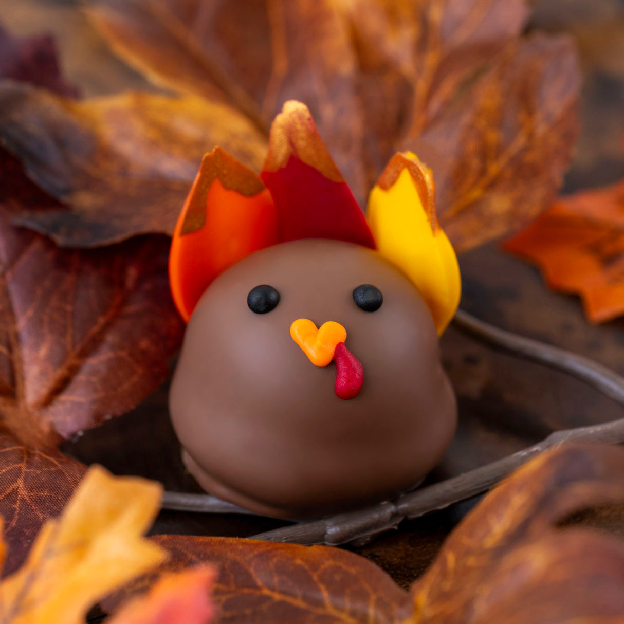 Gobble ’til you Wobble Thanksgiving Turkey Ganache Truffle