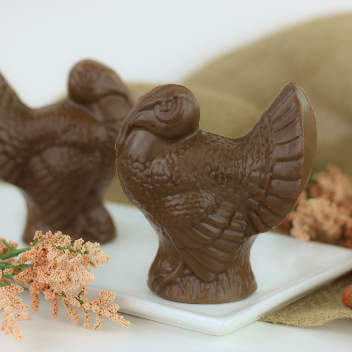 Solid Milk Chocolate Thanksgiving Turkey